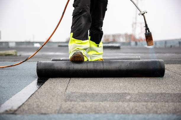 Best Steel Roofing  in Las Lomas, CA